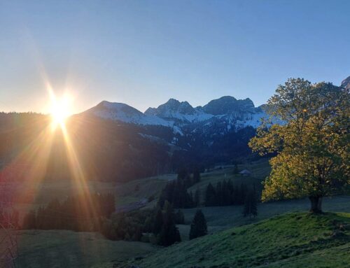 Alpsommer 2026